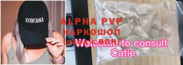 гашик Осинники
