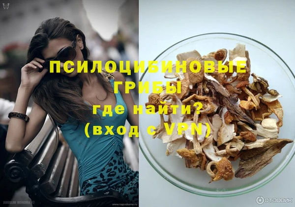 ешки Арсеньев