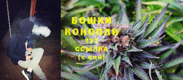 ешки Арсеньев